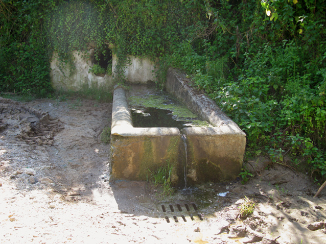 altri fontanili